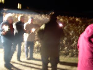 Group of our Lions with sparklers on Bonfire night