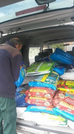 Bernaville Nurseries generous donations,loaded into back of delivery van