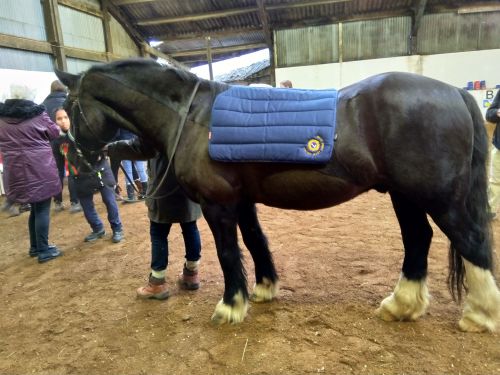 Sooty's new blanket,with our Lions Club Logo on it Dec 11th 2018